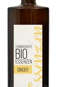 Esenta de ghimbir fermentata bio 500ml Retter